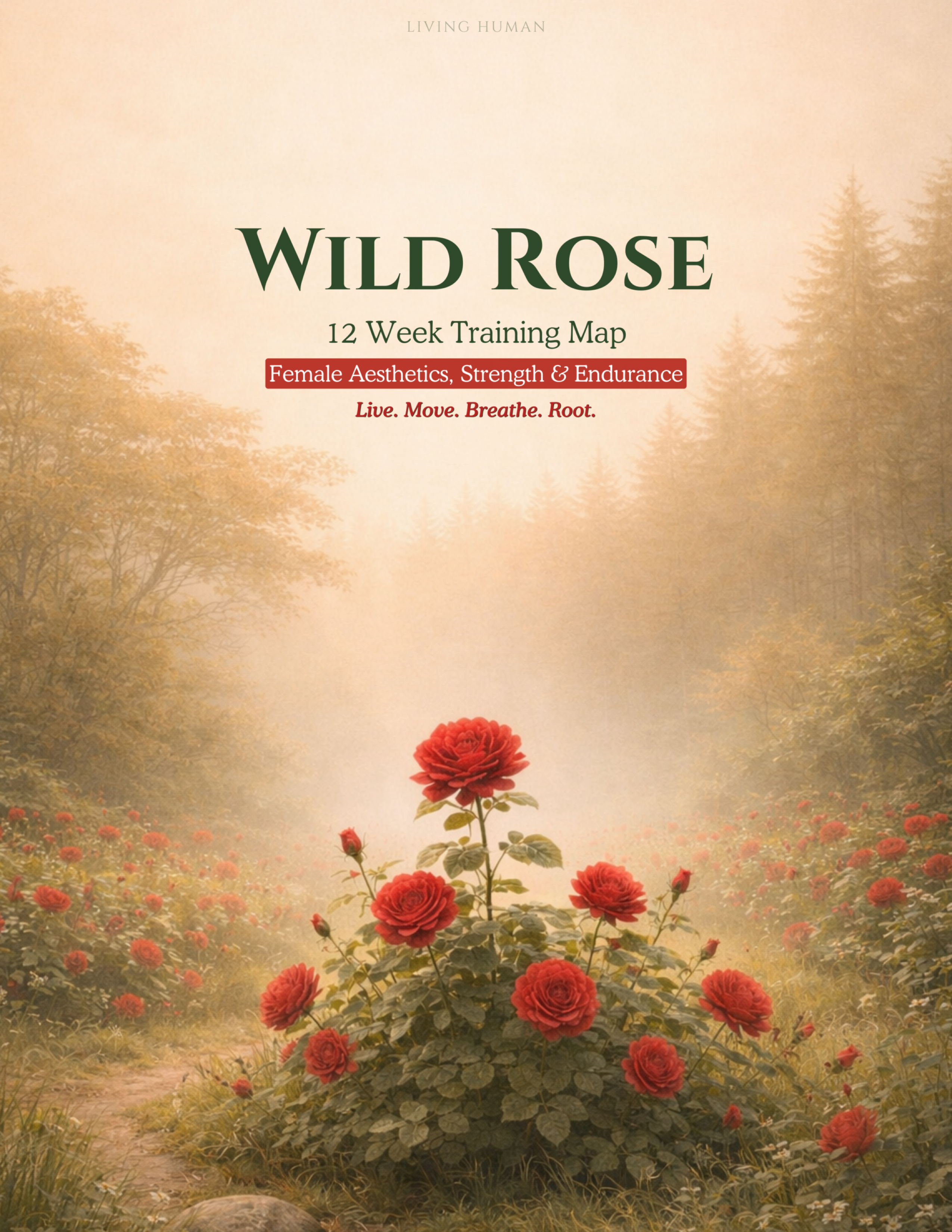 Wild Rose